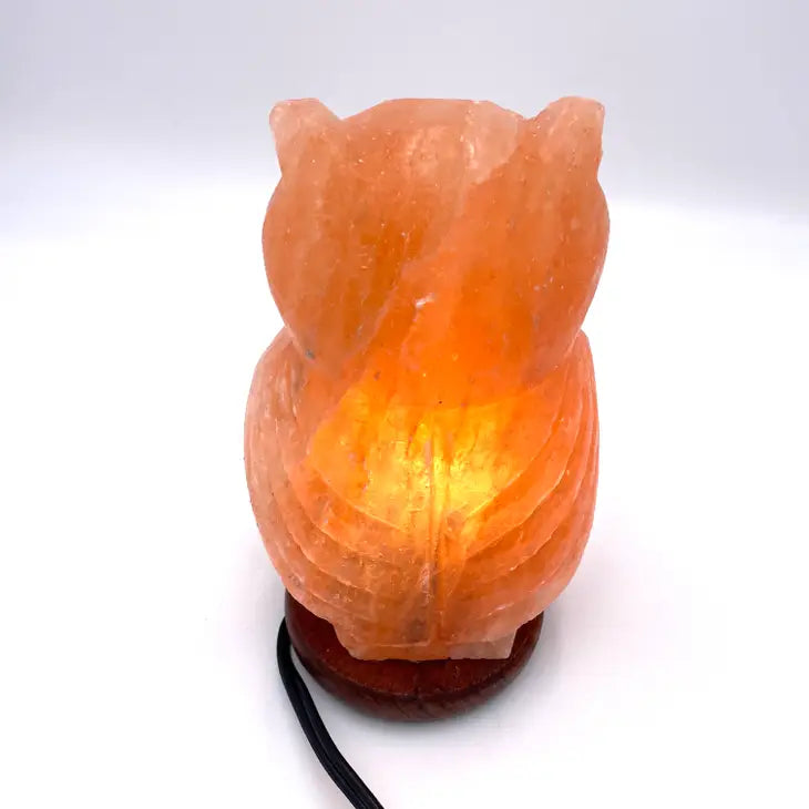 Salt Crystal Lamp - Owl