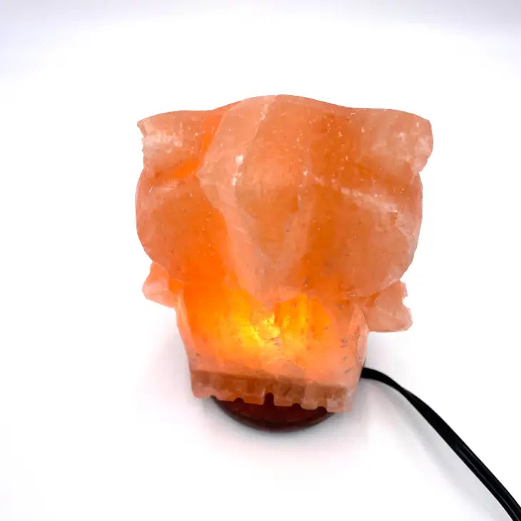 Salt Crystal Lamp - Owl