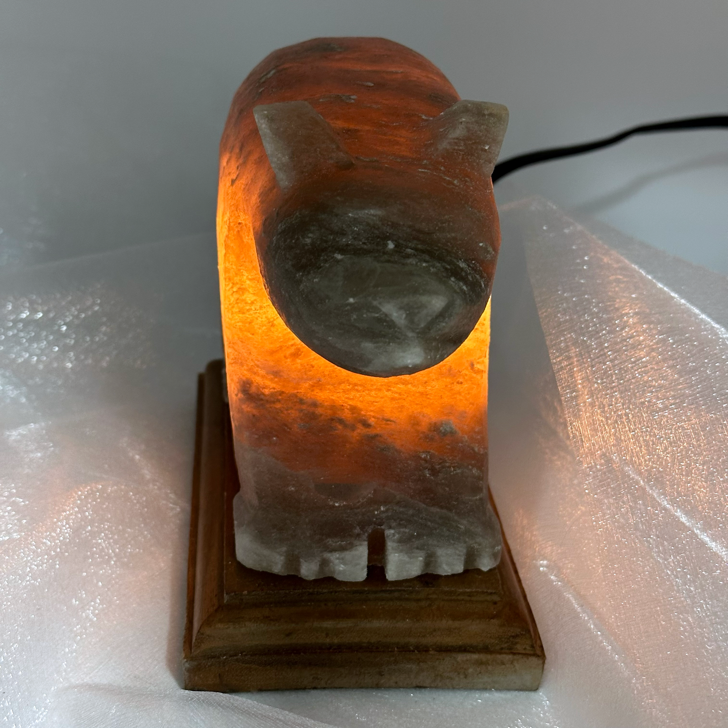 Himalayan Salt Bear Lamp