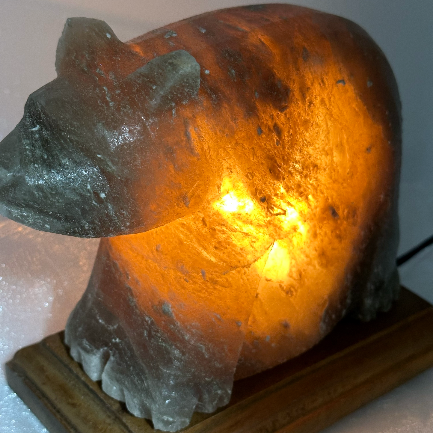 Himalayan Salt Bear Lamp