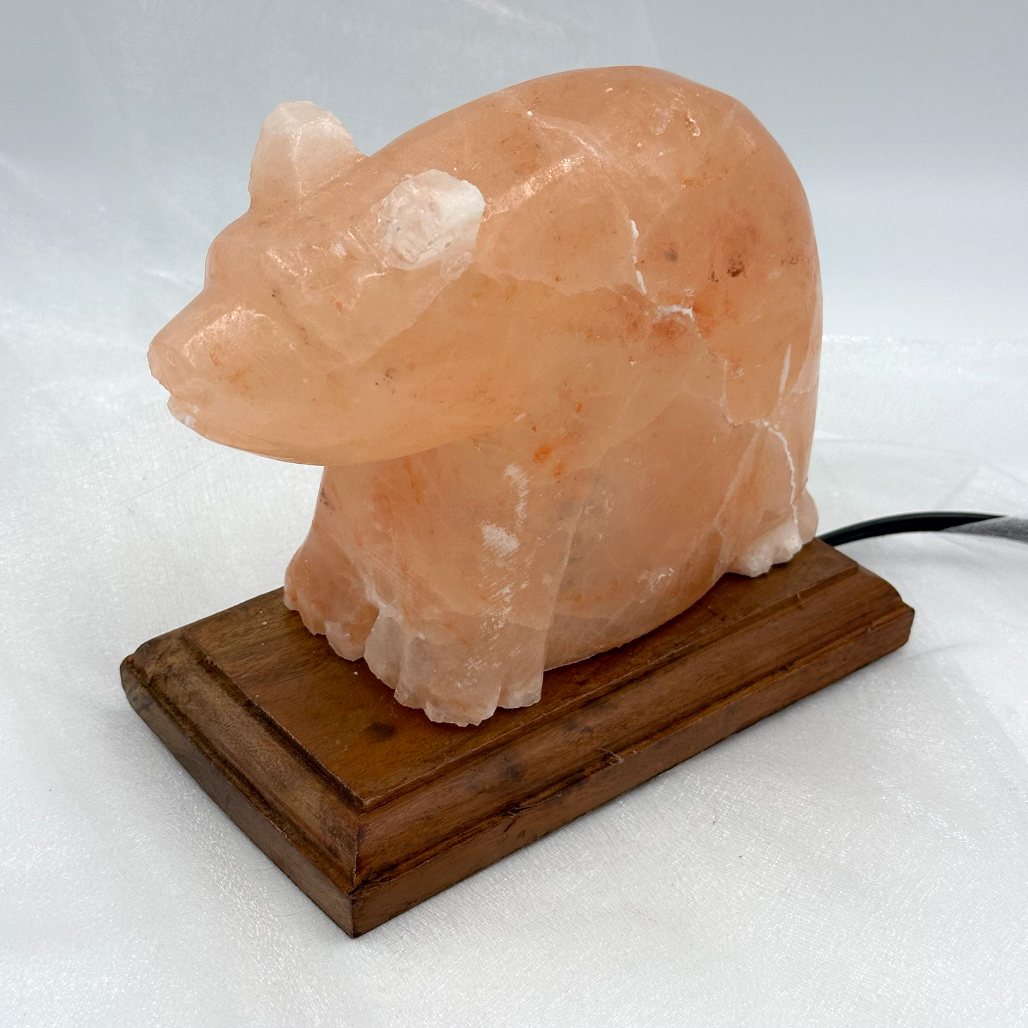Himalayan Salt Bear Lamp