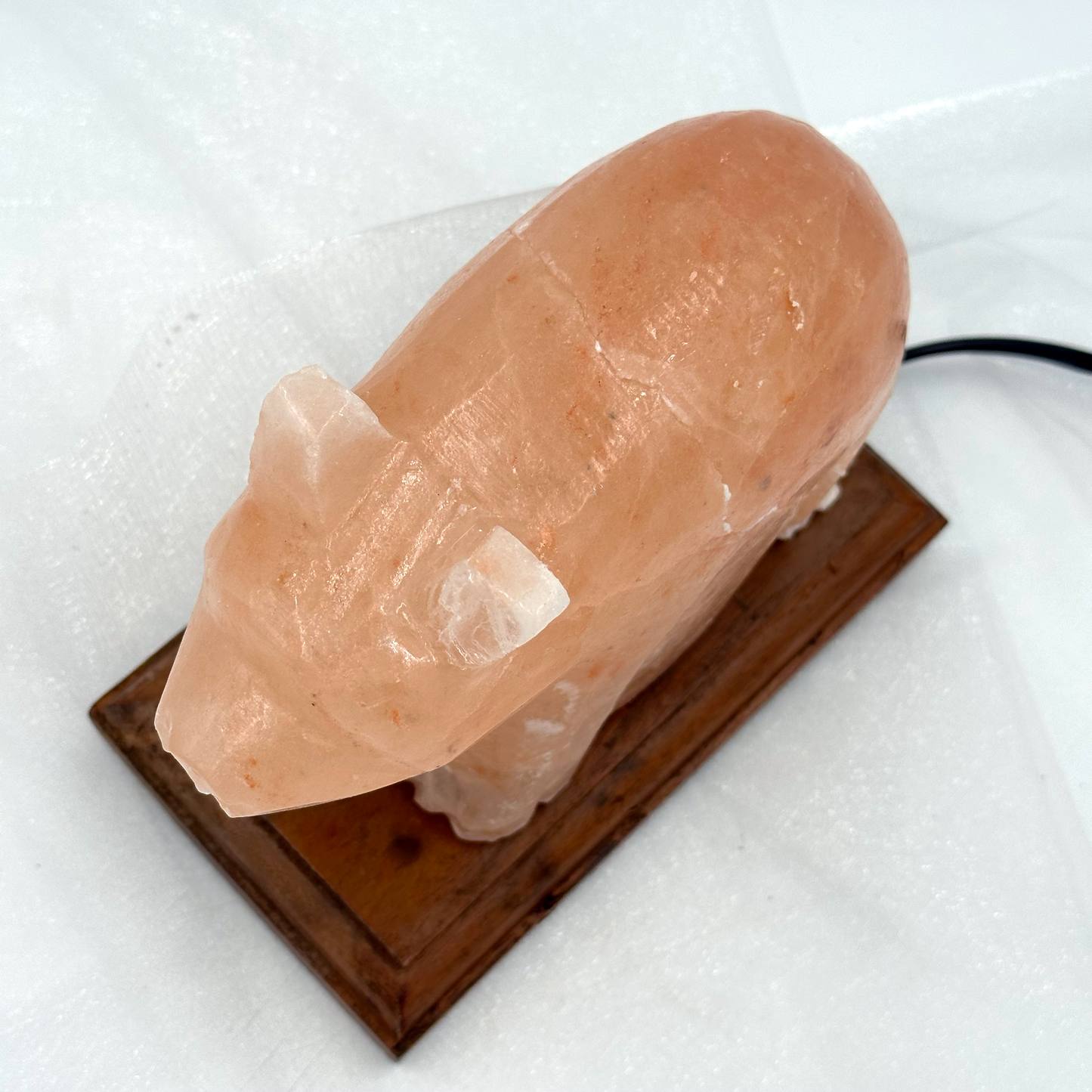 Himalayan Salt Bear Lamp