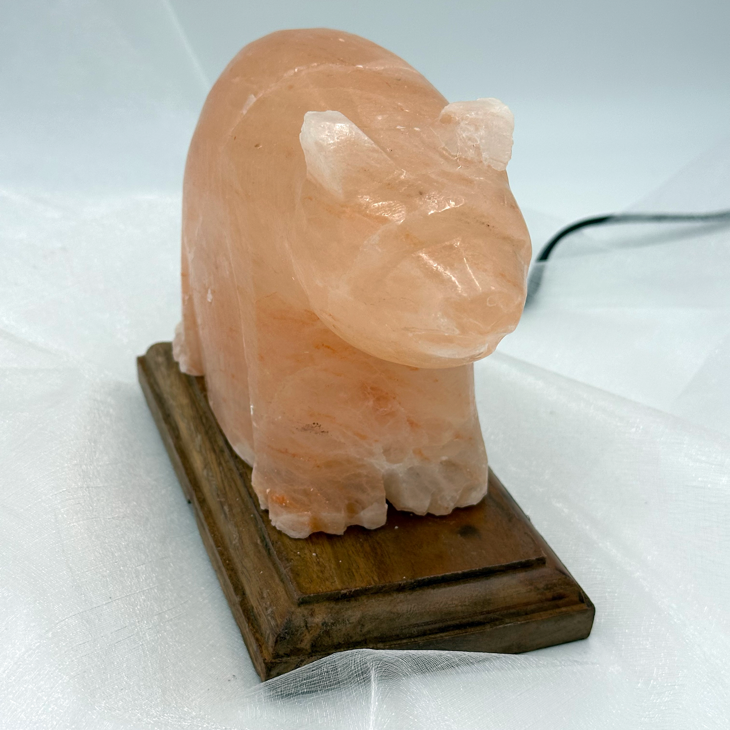 Himalayan Salt Bear Lamp