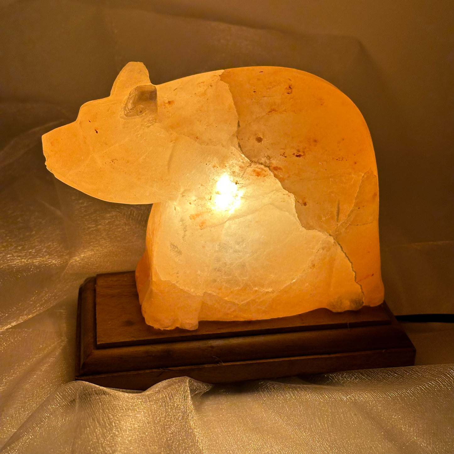 Himalayan Salt Bear Lamp