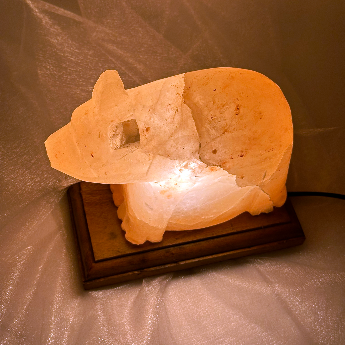 Himalayan Salt Bear Lamp