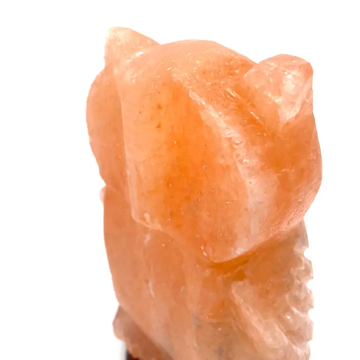 Salt Crystal Lamp - Owl