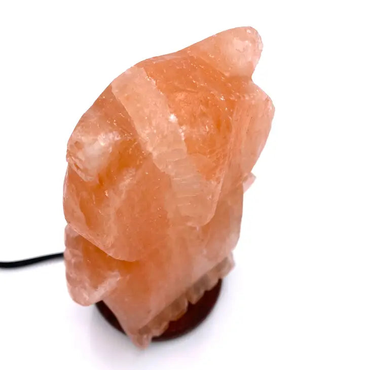 Salt Crystal Lamp - Owl