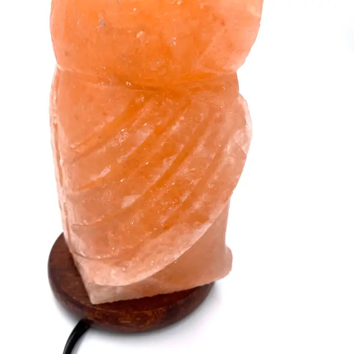 Salt Crystal Lamp - Owl
